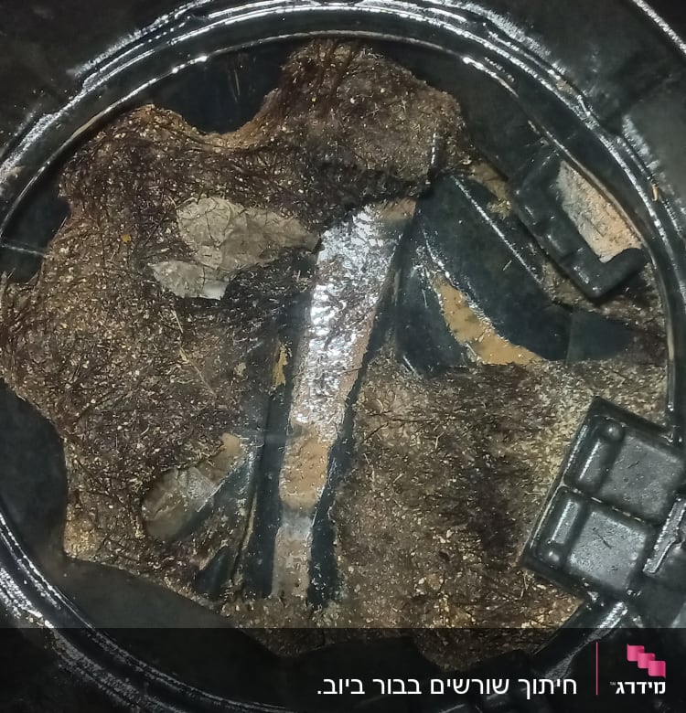 תא איסוף פסולת במשאית ואקום עם לכלוך